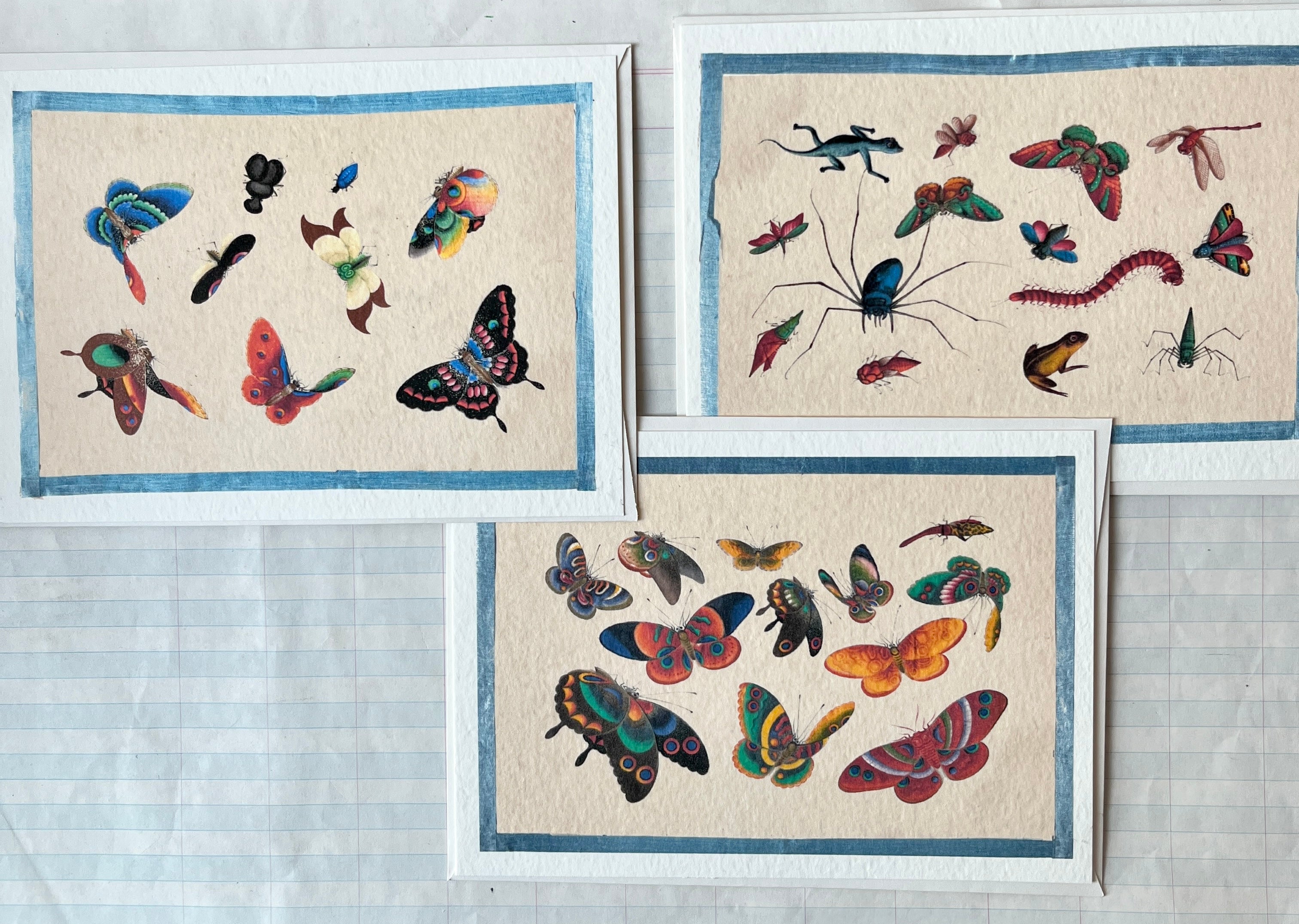 Insecta Art Cards II - PARCEL