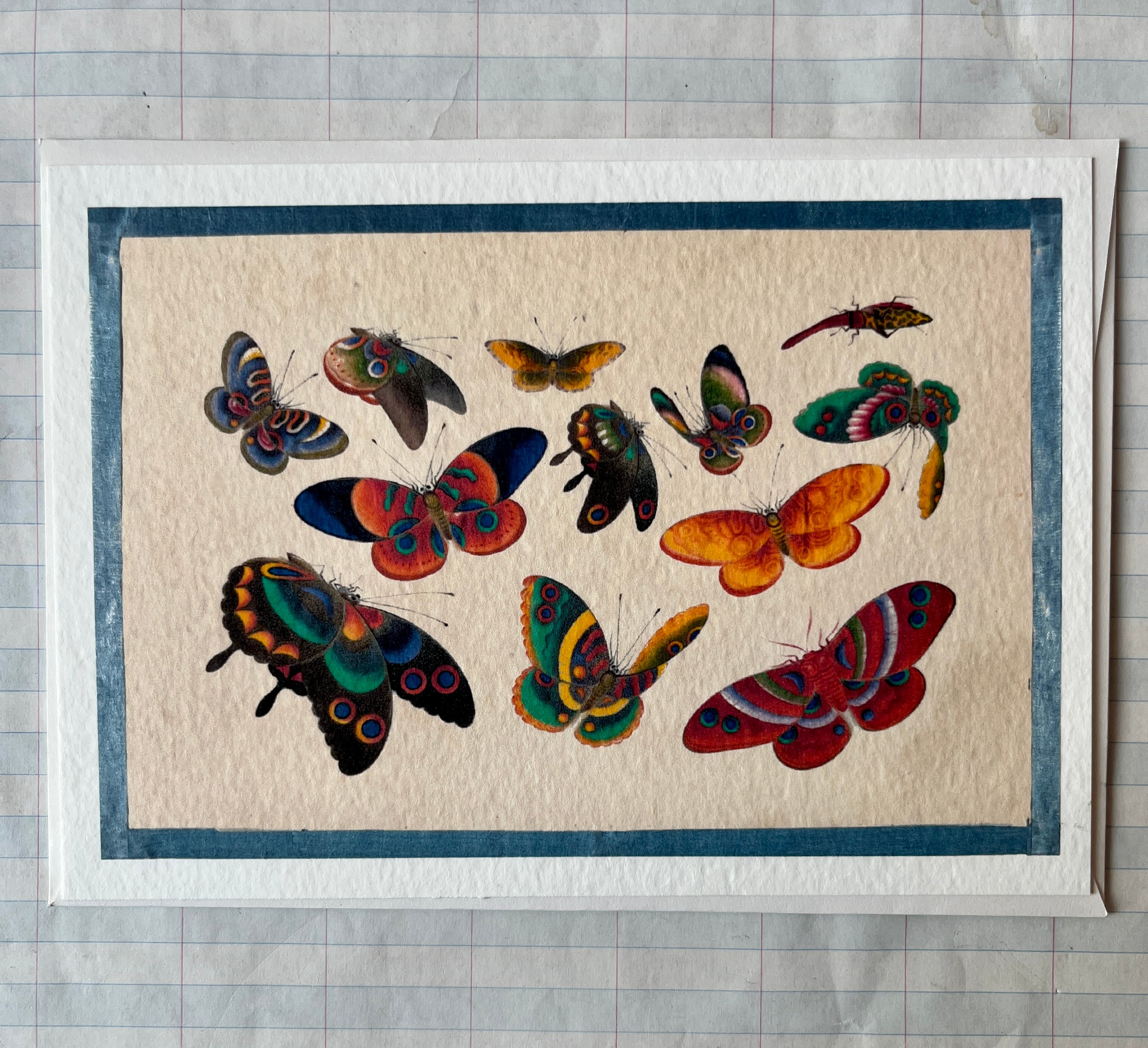 Insecta Art Cards II - PARCEL