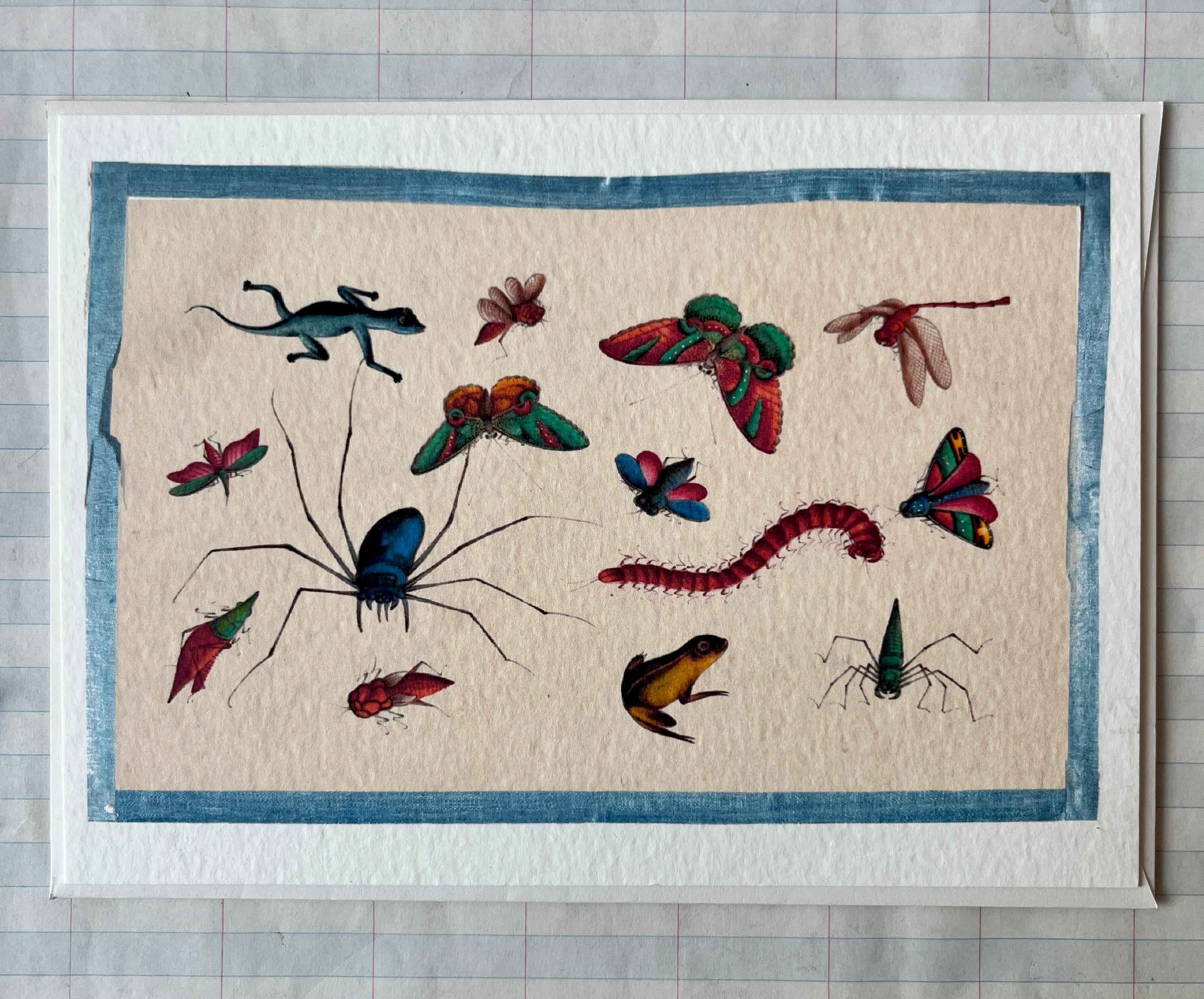 Insecta Art Cards II - PARCEL