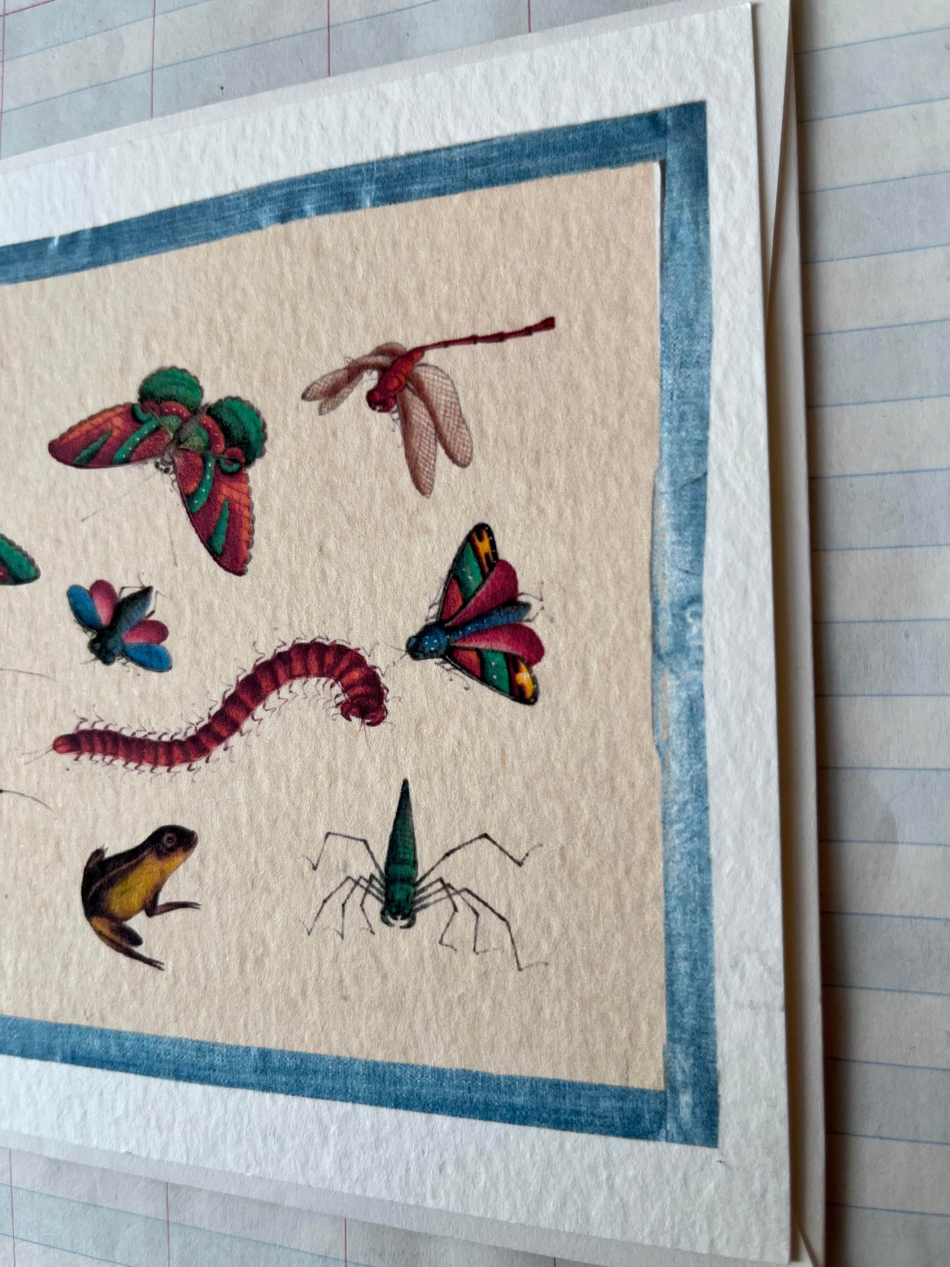 Insecta Art Cards II - PARCEL