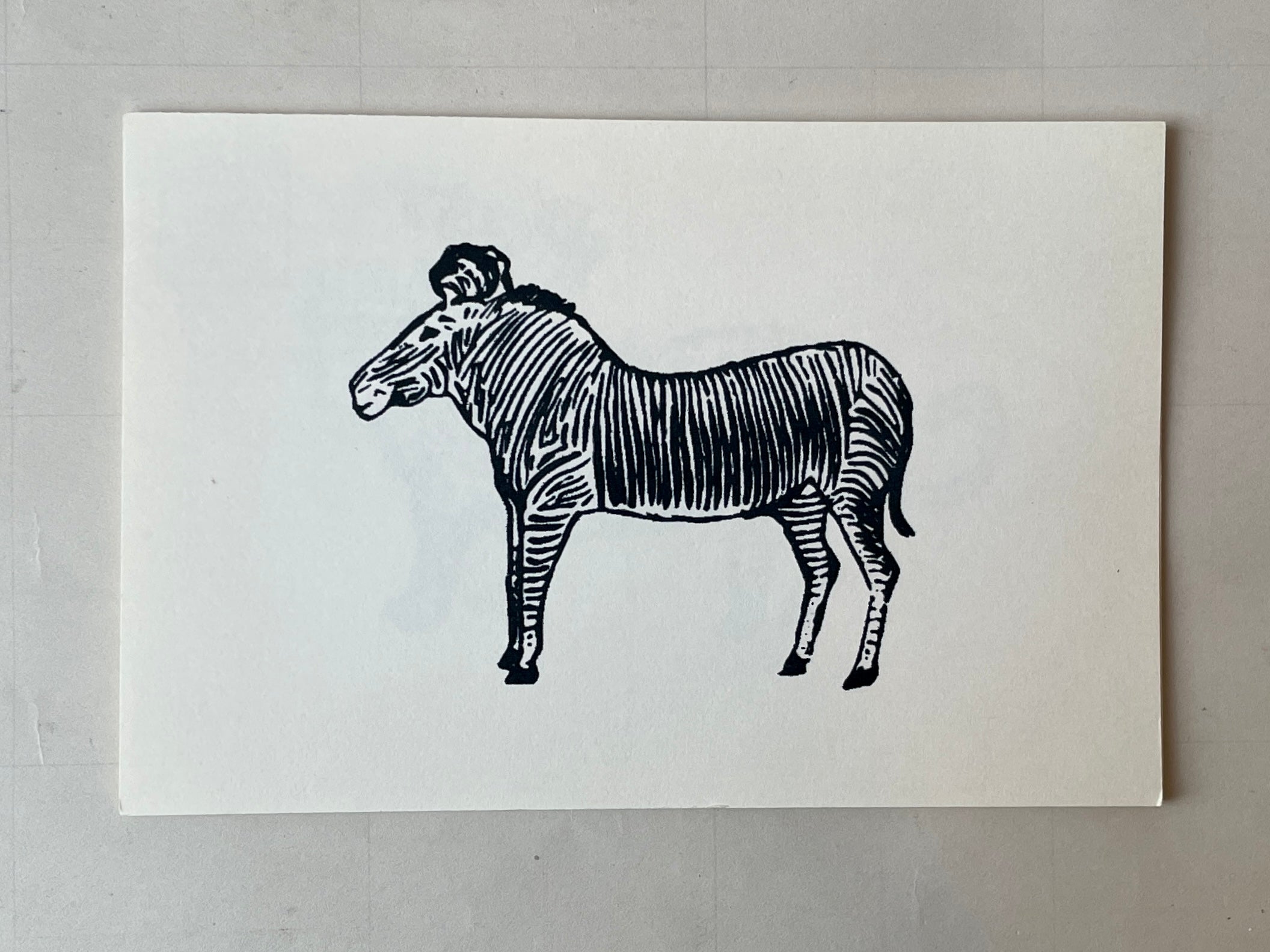 Wild Animal Post Card Set - PARCEL