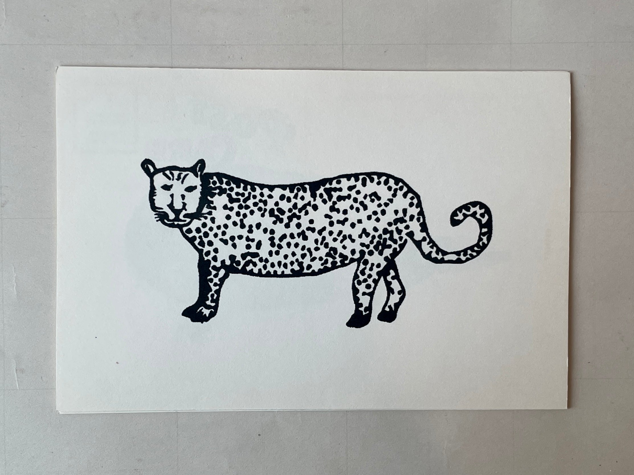 Wild Animal Post Card Set - PARCEL