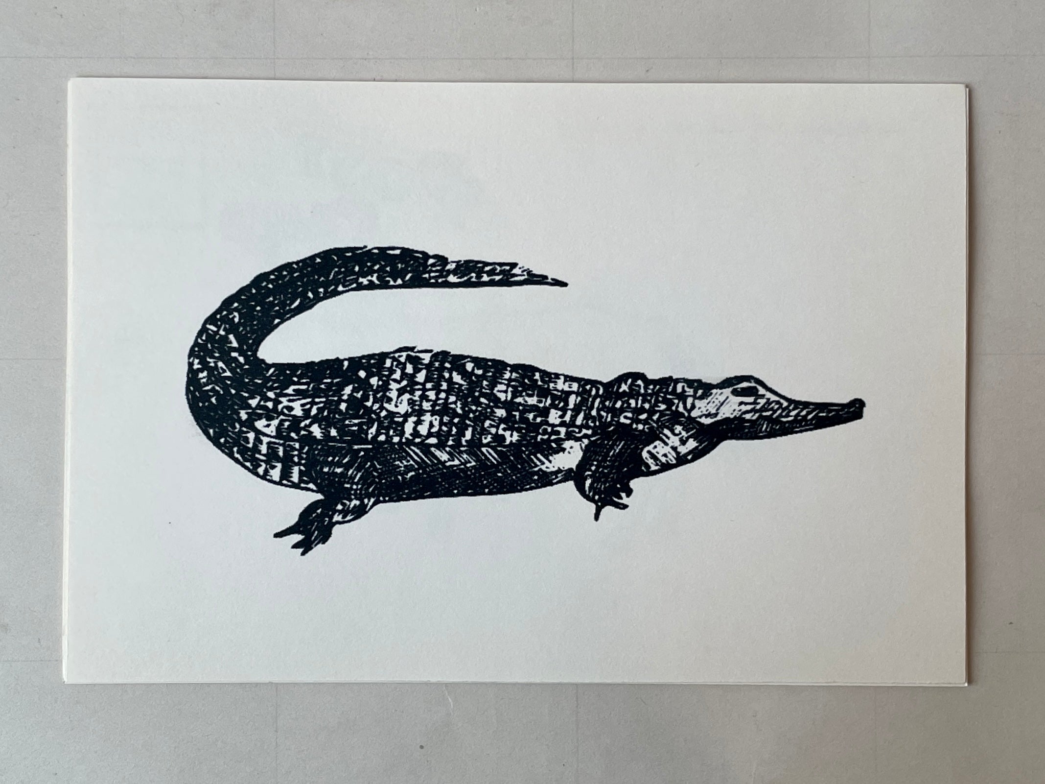 Wild Animal Post Card Set - PARCEL
