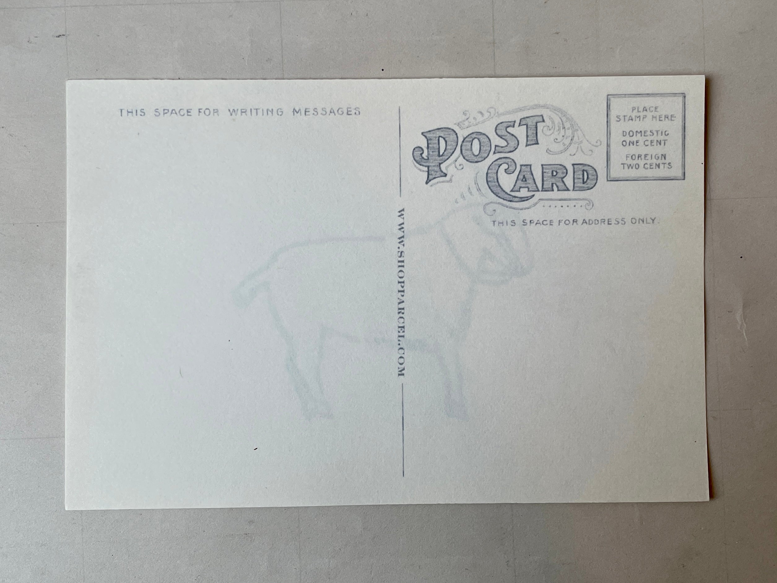 Wild Animal Post Card Set - PARCEL