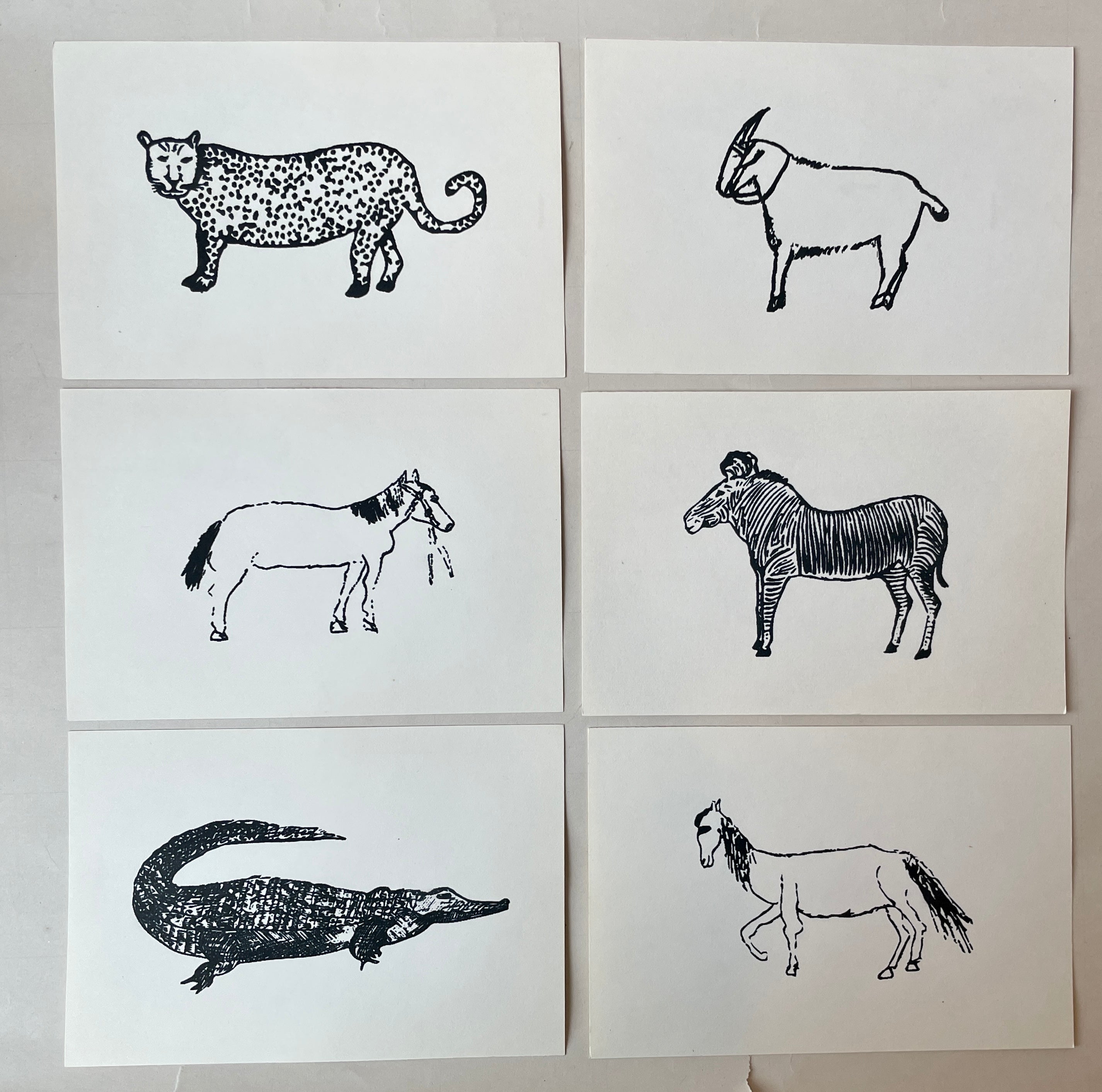 Wild Animal Post Card Set - PARCEL