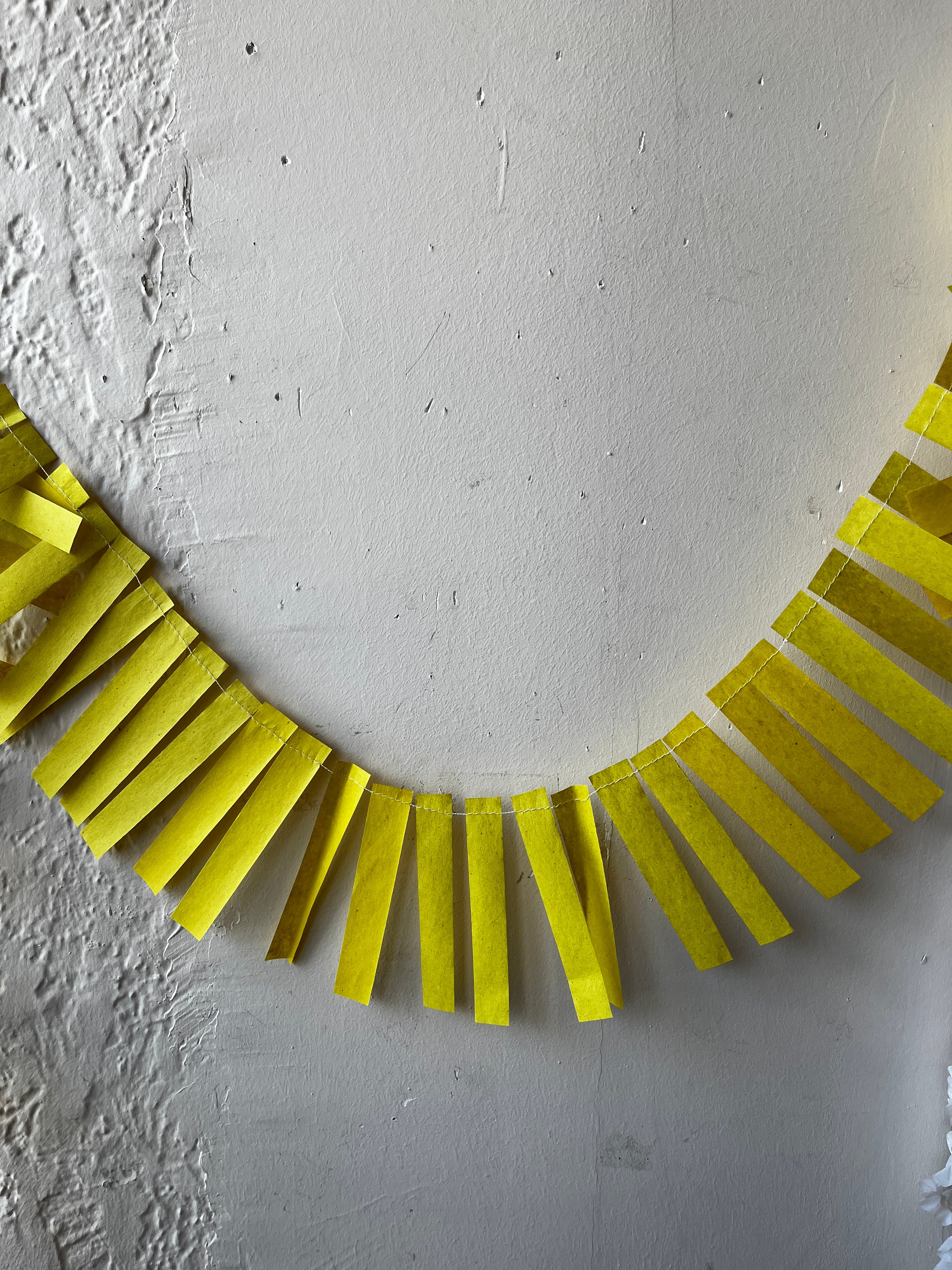 Fringe Garland - PARCEL