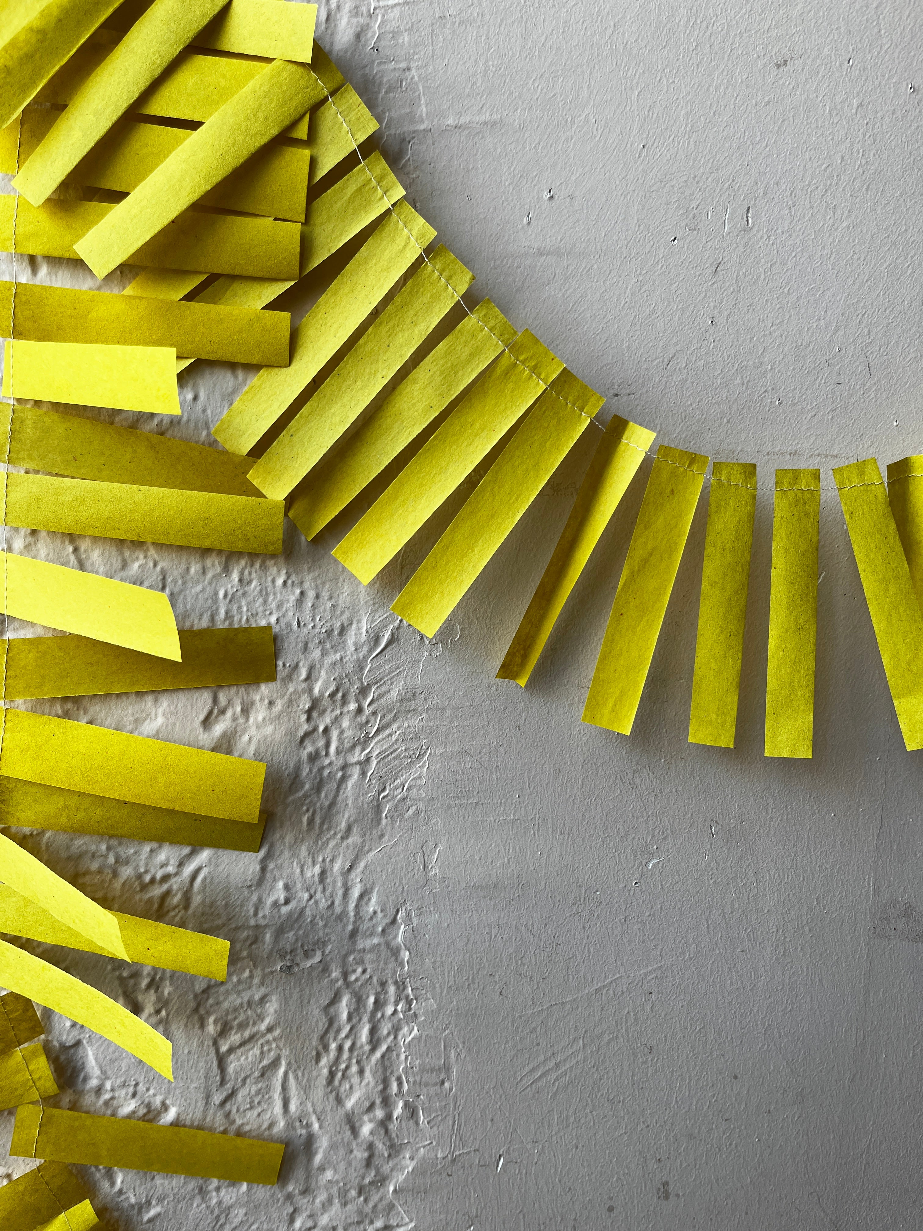 Fringe Garland - PARCEL